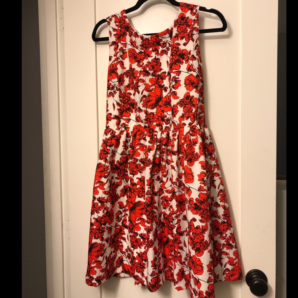 Fit & Flare Red floral poppy Dress